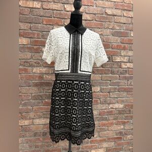 New with tags, FEW MODA Two-Tone Lace Mini Dress with Contrast Collar in large